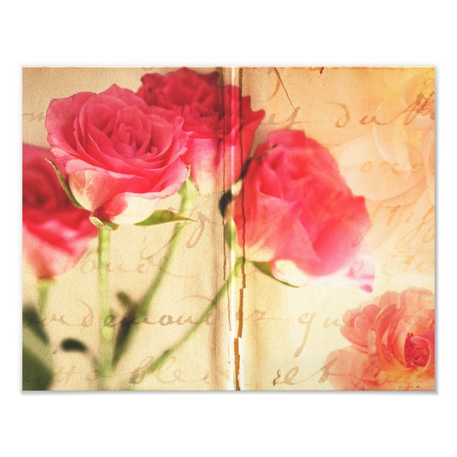 Pink Rose Background Collage Roses Flowers Photo Print (Front)