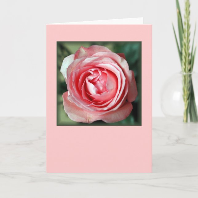 "Pink Rose" (Blank) Card (Front)