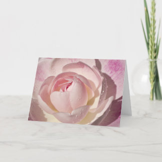 Pink Rose Blank Greeting Card