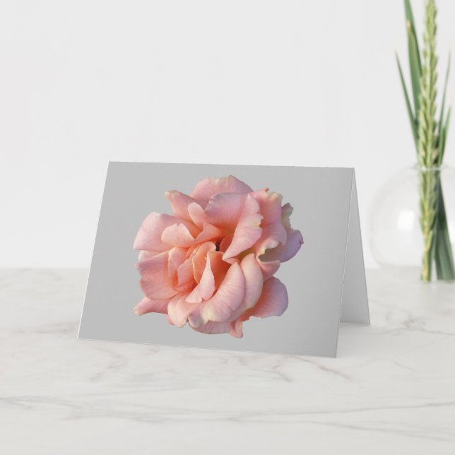 pink rose bloom card (Front)