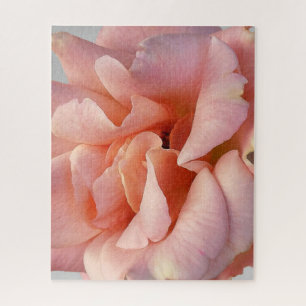 pink rose bloom jigsaw puzzle