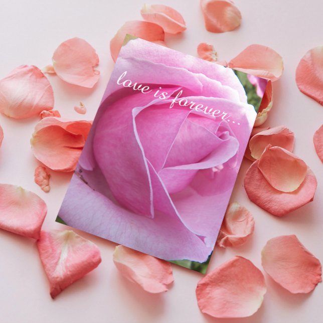 Pink Rose Bloom Personalized Marriage Proposal Card (In Situ)