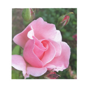 pink rose blooming notepad