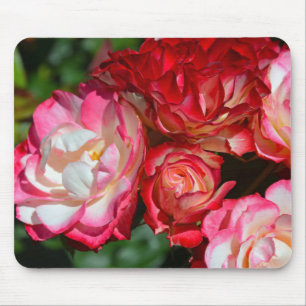 Pink rose blossoms mouse pad