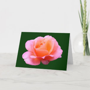 Pink Rose - Blue Card