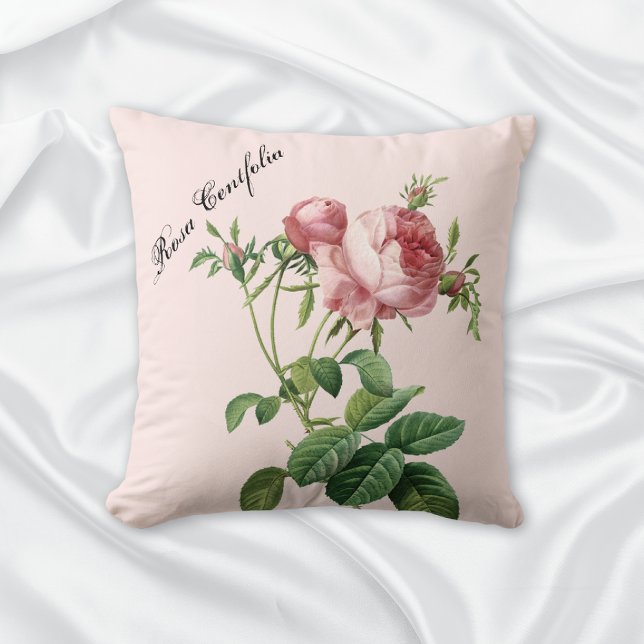Pink Rose Botanical Cushion (Creator Uploaded)