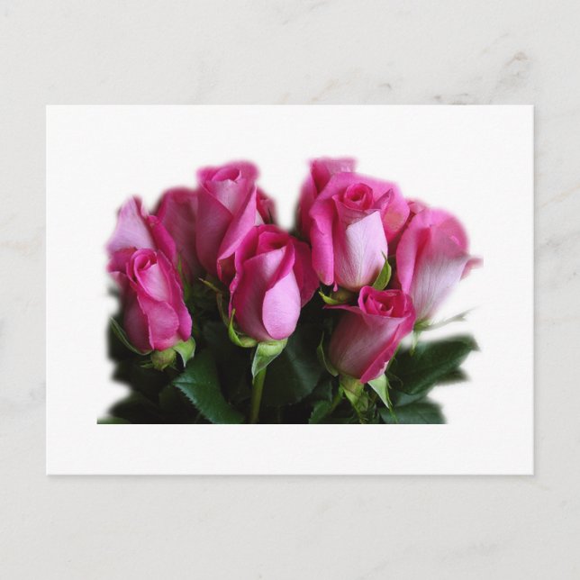 pink rose bouquet postcard (Front)