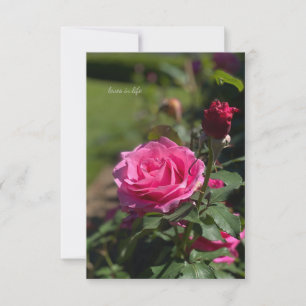 Pink Rose & Bud Card