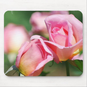 Pink Rose Bud  Mouse Pad