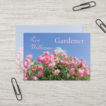 Pink rose bush under blue sky, custom