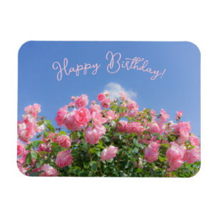 Pink rose bush under blue sky, custom magnet