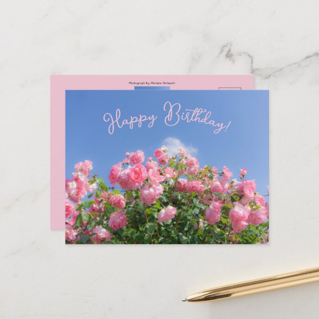 Pink rose bush under blue sky, custom  postcard (Front/Back In Situ)