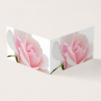 Pink rose business card