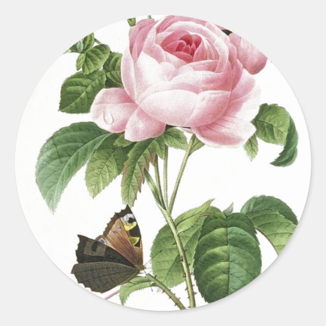 Pink Rose Butterfly Envelope Stickers (Front)