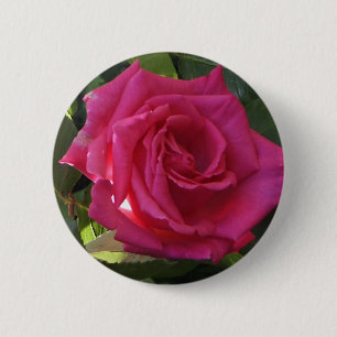 Pink Rose Button - for Valentine's Day?