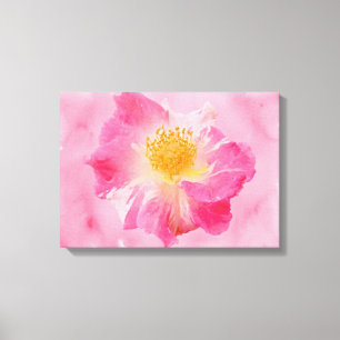 Pink Rose Canvas Print