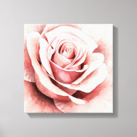 Pink Rose