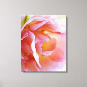 Pink Rose Canvas Print
