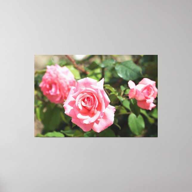 pink rose canvas print (Front)
