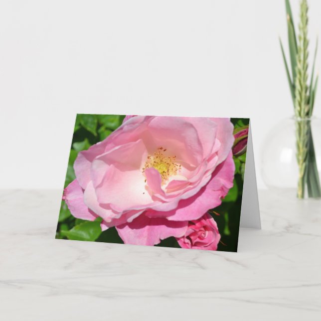 Pink Rose Card (Front)