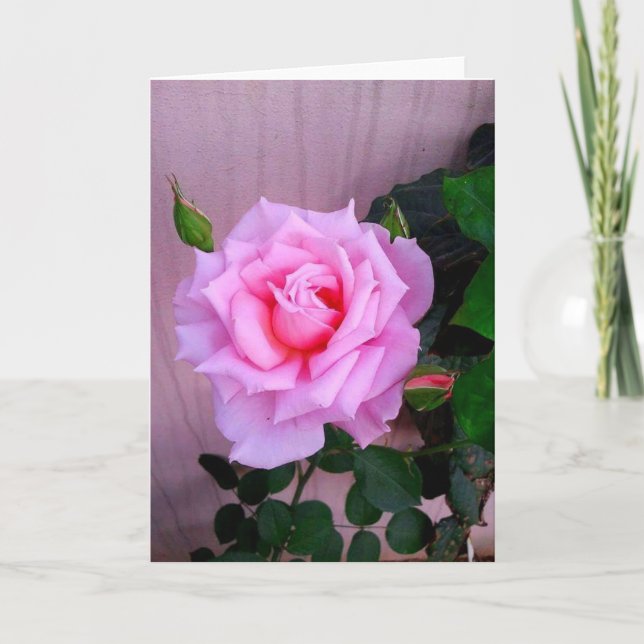 Pink Rose Card (Front)