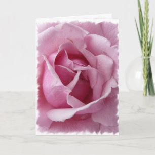 Pink Rose Card