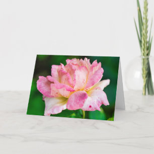 Pink Rose Card