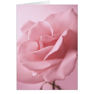 Pink Rose Card