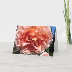 Pink Rose Card