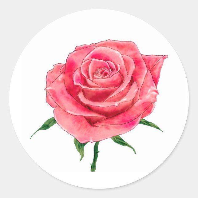 Pink Rose Classic Round Sticker (Front)
