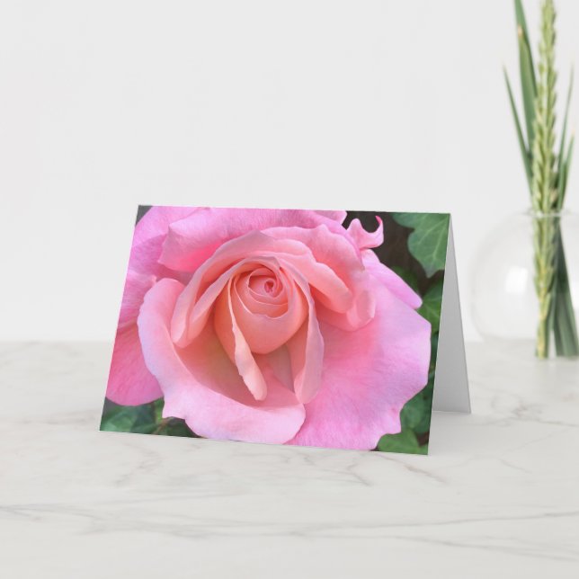 Pink rose closeup card (Front)