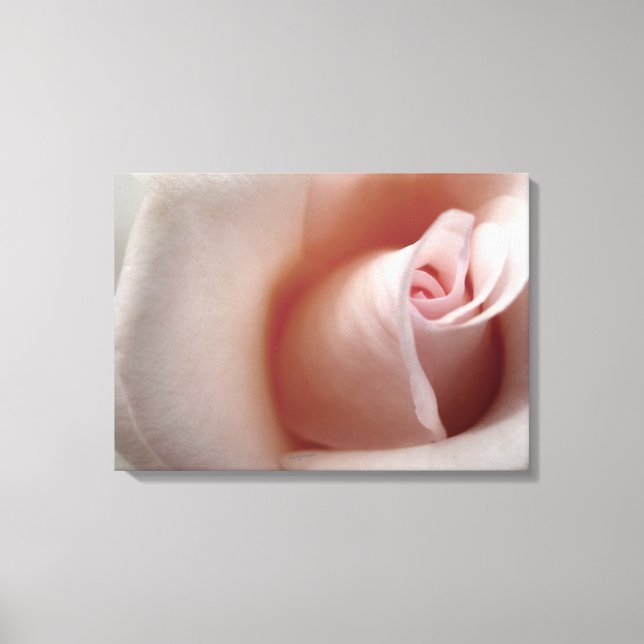 Pink Rose Cloud Canvas Print (Front)