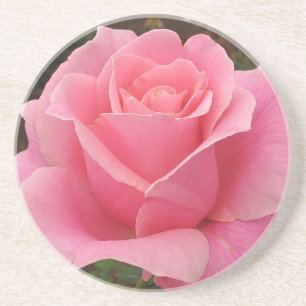 Pink Rose Coaster