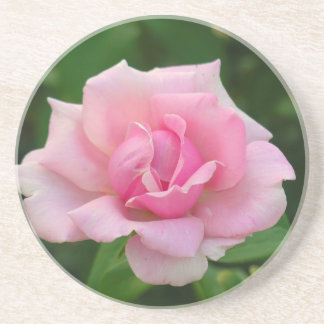 Pink Rose Coaster