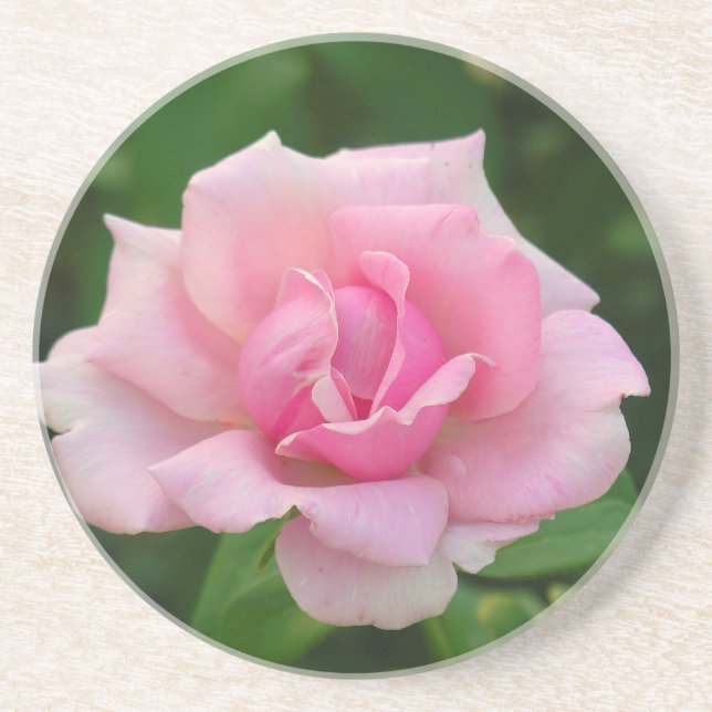 Pink Rose Coaster (Front)