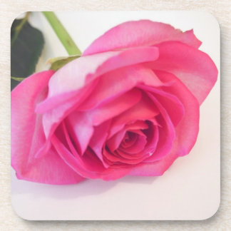 Pink Rose Coaster