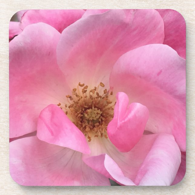 Pink Rose Coaster (Front)