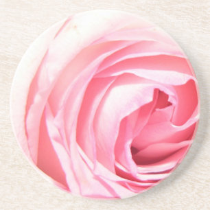 Pink Rose Coasters