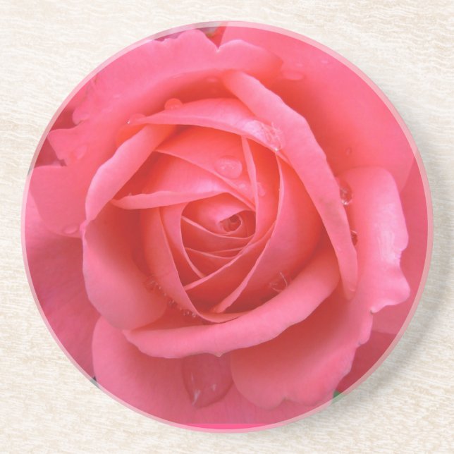 Pink Rose Coasters Pink Rose Gifts Keepsake Decor (Front)