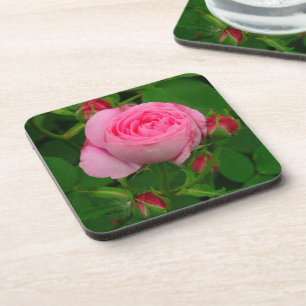 "PINK ROSE" COASTERS (SET OF 6)