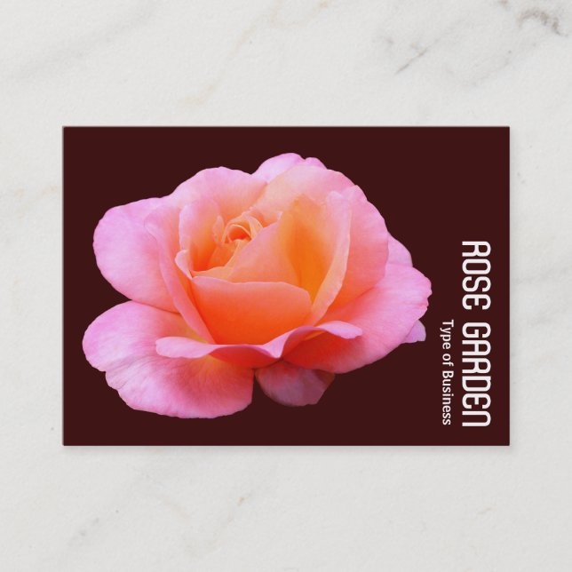 Pink Rose (Dark Chocolate) Business Card (Front)