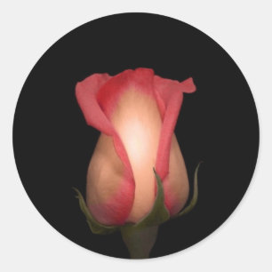 Pink Rose Envelope Seals