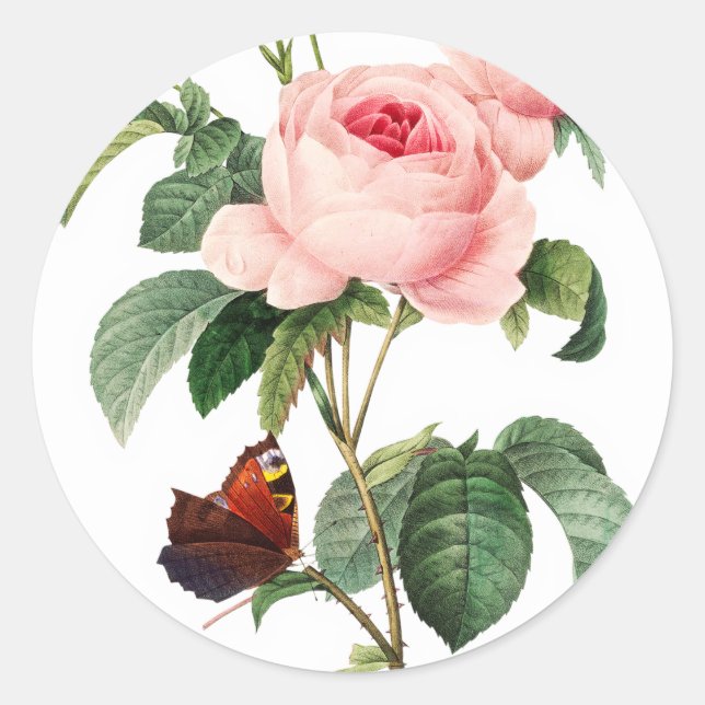 Pink Rose Envelope Stickers (Front)