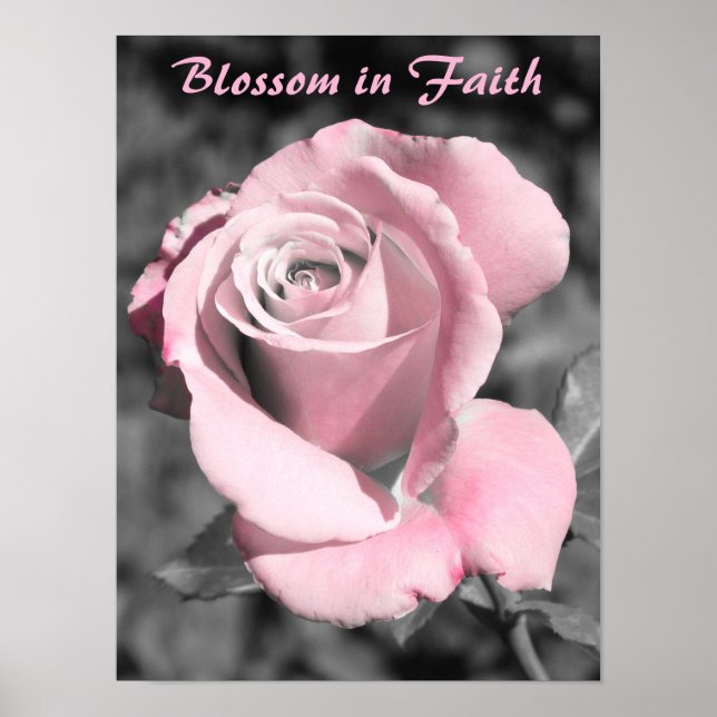 Pink Rose Faith Poster (Front)