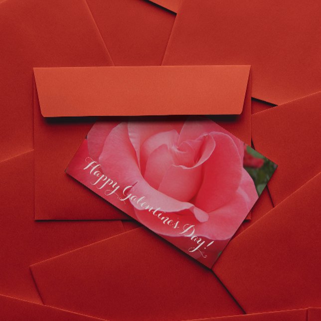 Pink Rose Floral Galentine's Day Holiday Card (In Situ)