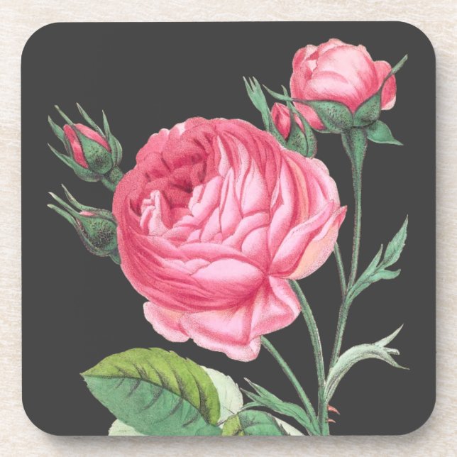 Pink rose floral modern coaster (Front)
