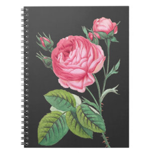 Pink rose floral modern notebook