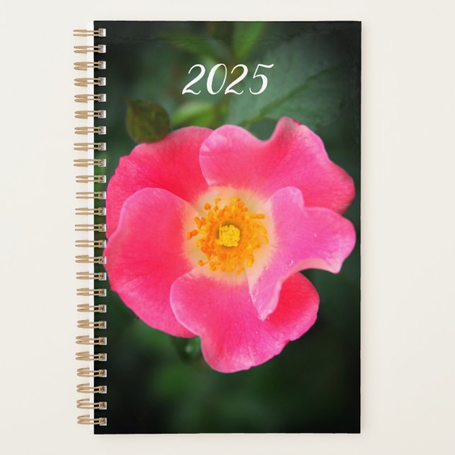 Pink Rose Floral Photo 2025 Planner (Front)