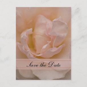 Pink Rose Floral Quinceañera Save the Date Announcement Postcard