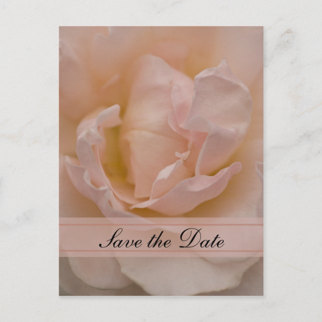 Pink Rose Floral Quinceañera Save the Date Announcement Postcard (Front)